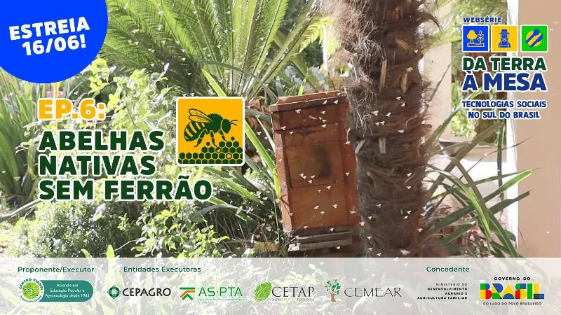 DA TERRA À MESA: Abelhas Nativas Sem Ferrão - EP06