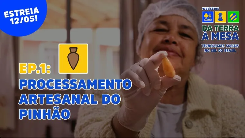 DA TERRA À MESA: Processamento Artesanal do Pinhão - EP01