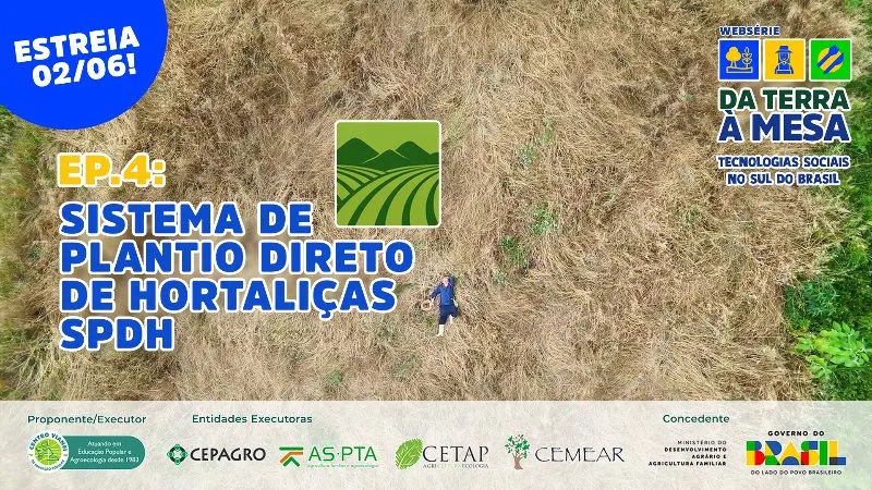 DA TERRA À MESA: Sistema de Plantio Direto de Hortaliças transforma a produção no Alto Vale do Itajaí - EP04