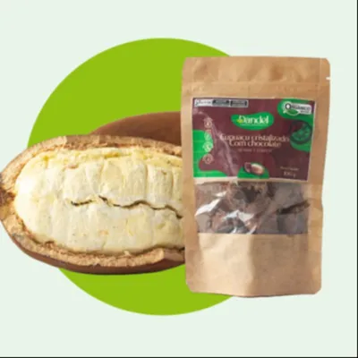 Cupuaçu cristalizado ao chocolate (100g)