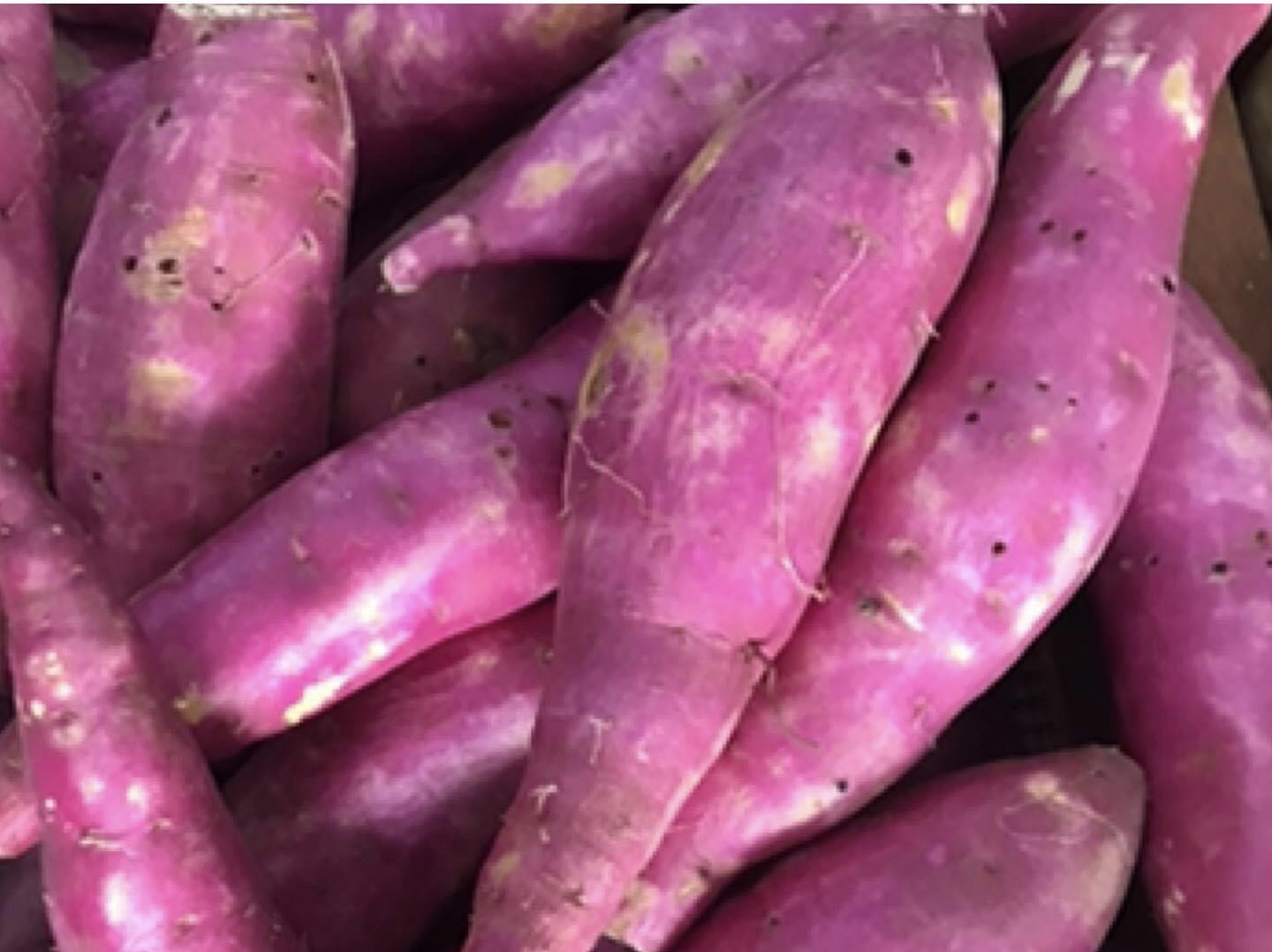 BATATA DOCE ORGÂNICA