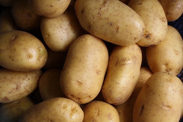 BATATA INGLESA ORGÂNICA